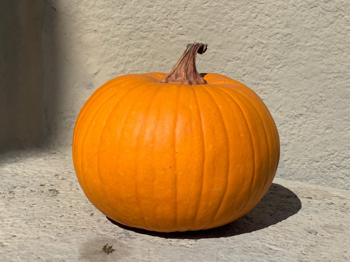 How to Recycle Halloween Pumpkins | Living Healthy List